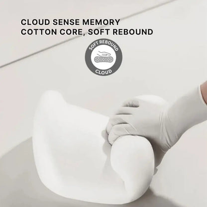 Memory Foam Car Neck Pillow and Lumbar Support